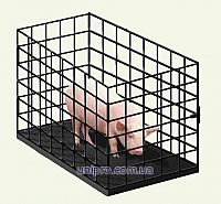 Весы для свиней